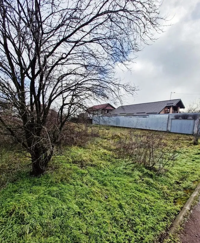 Buftea Str Independentei