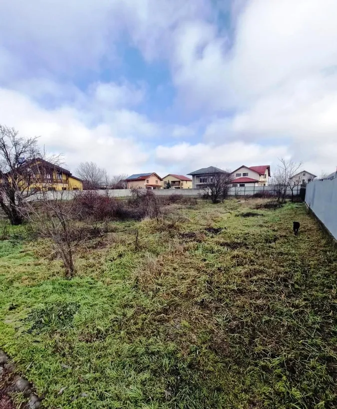 Buftea Str Independentei