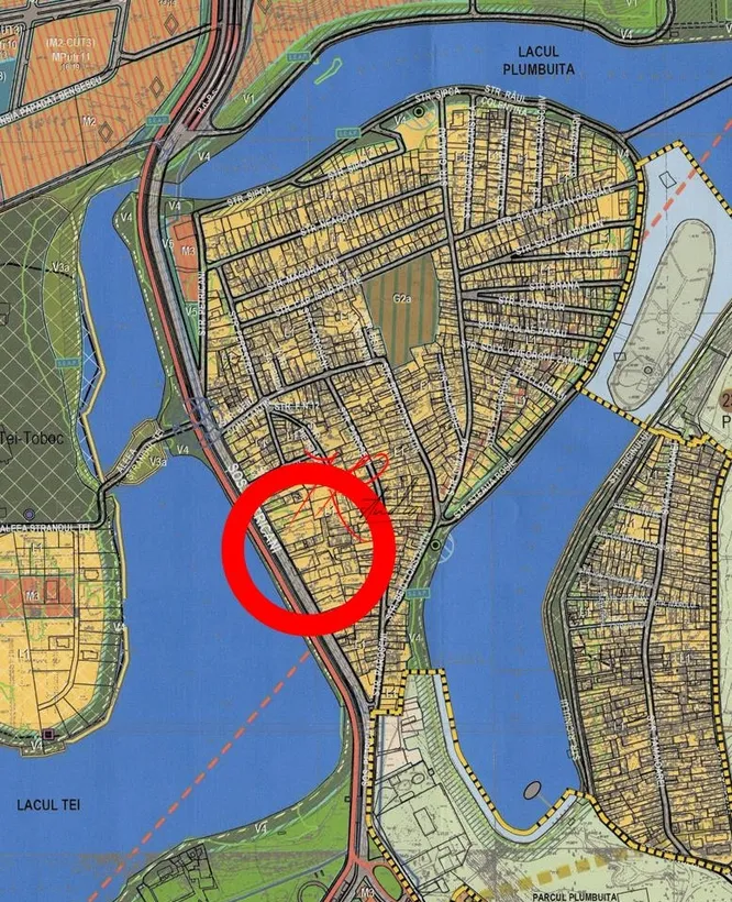 Tei Vanzare teren Petricani la bulevard