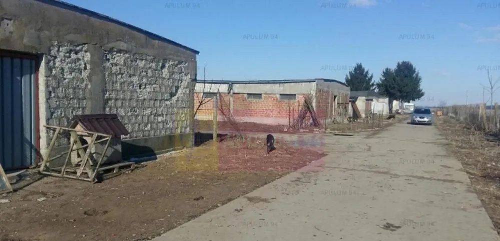 Teren Balotesti Saftica