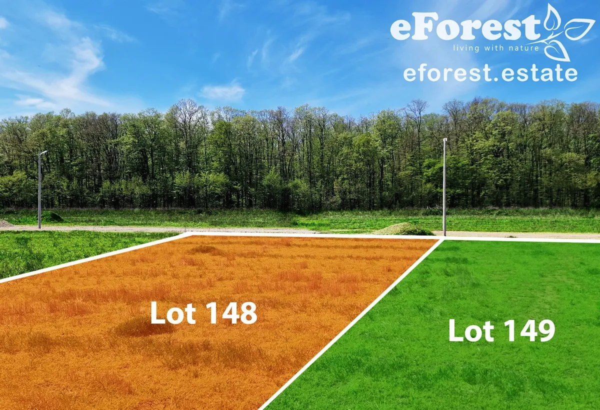 Crevedia loturi casa langa padure la 17 km distanta de Bucuresti