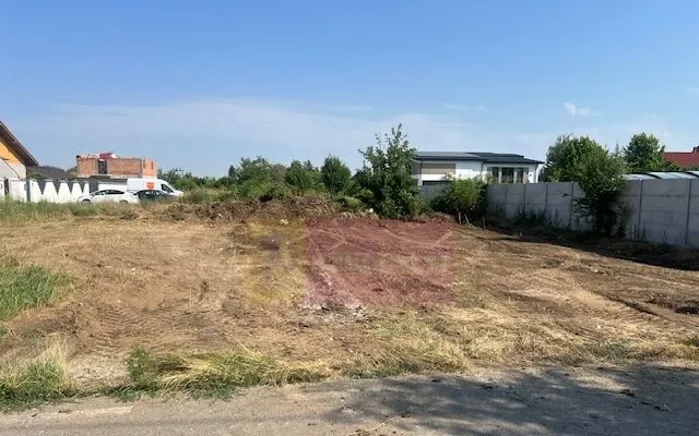 Teren Clinceni Putul Olteni Crizantemelor