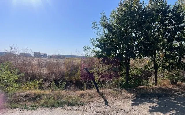 Teren Cornetu Strada Magnoliei Pinului