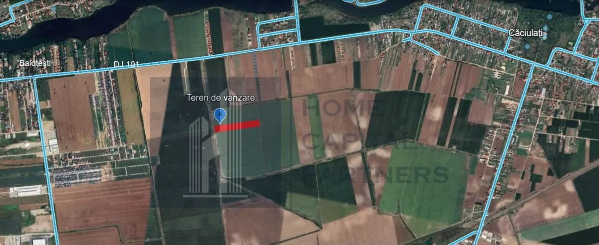 Balotesti Teren de vanzare 10 000 mp Caciulati Moara Vlasiei