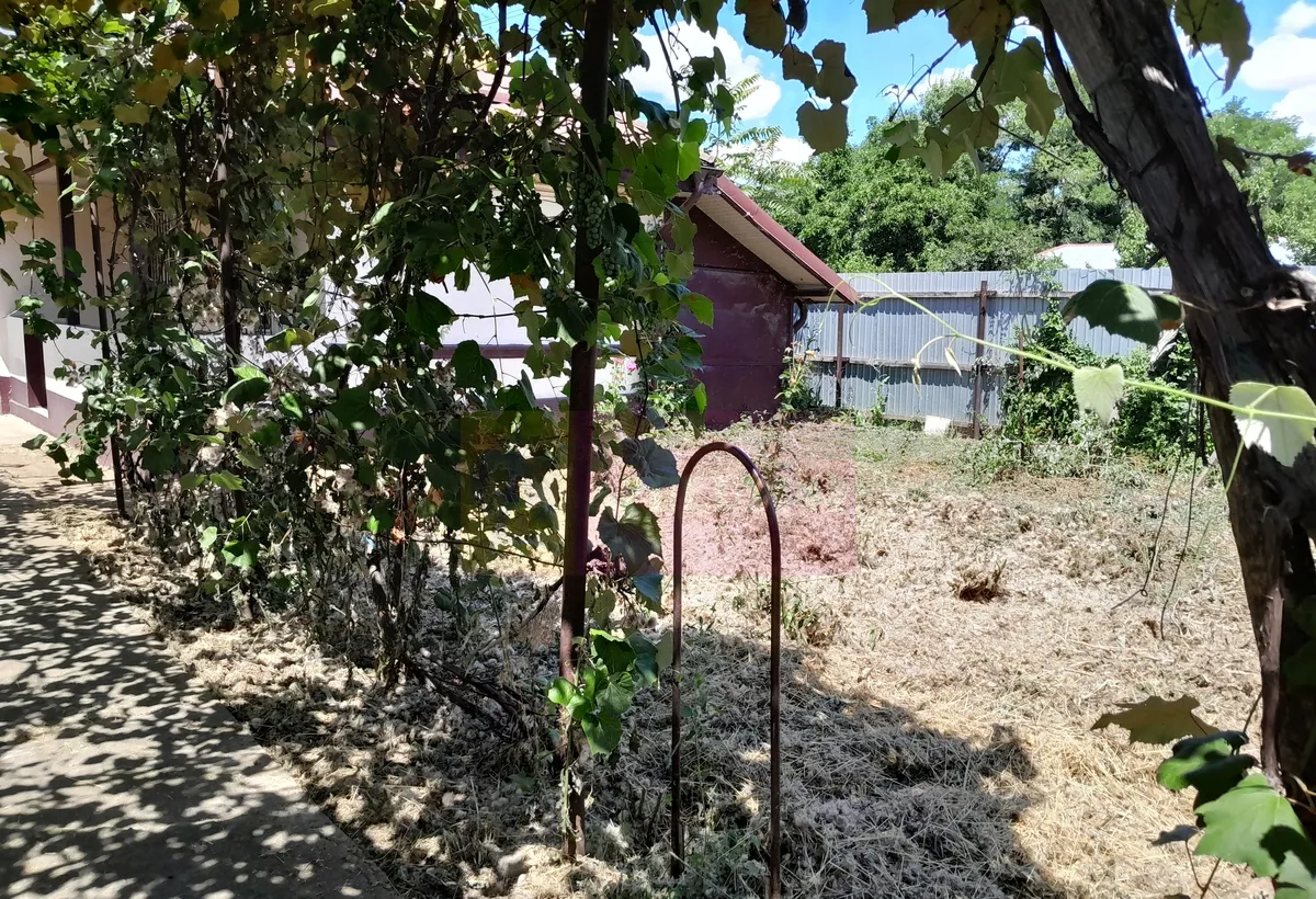 Movilita vanzare casa 5 cam plus livada pe rod si teren 1800 mp