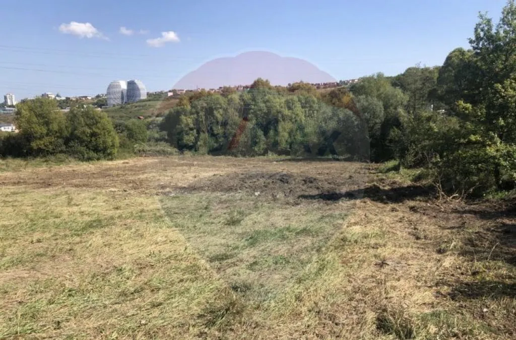 de investitie /Spatiu industrial