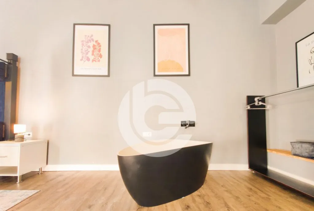 Studio 46 MpU Central Pretabil regim hotelier Spatiu