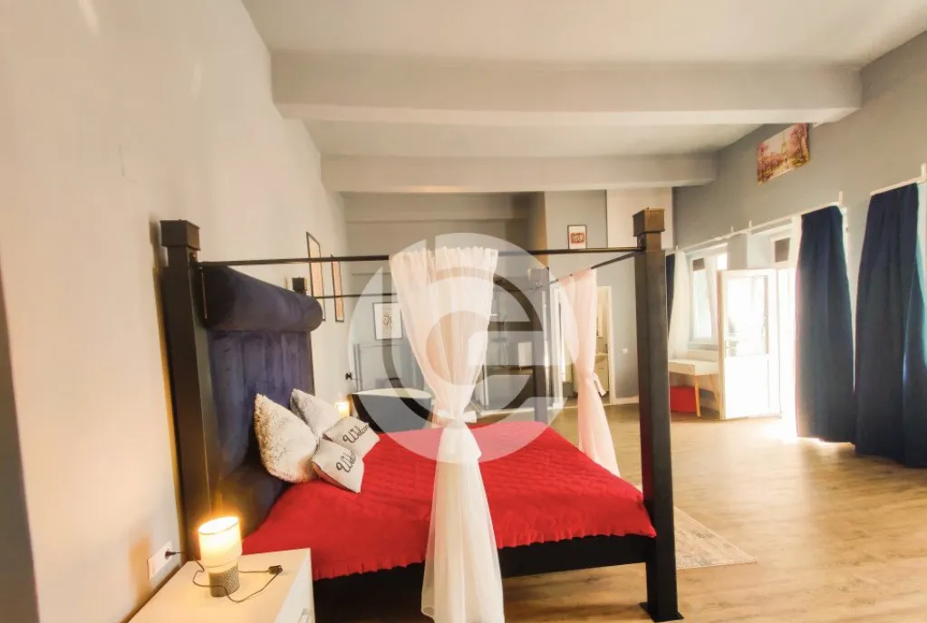 Studio 46 MpU Central Pretabil regim hotelier Spatiu