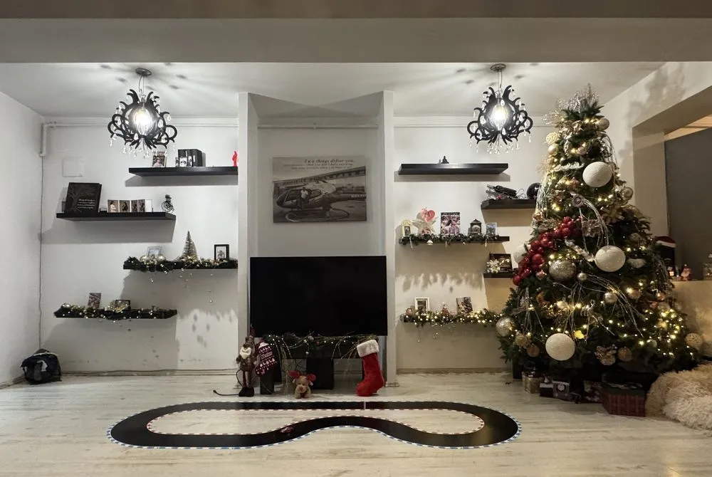 Iancu Nicolae predare imediata loc de parcare inclus nou