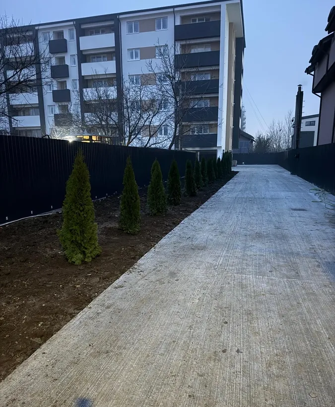 Aparatorii Patriei oferta