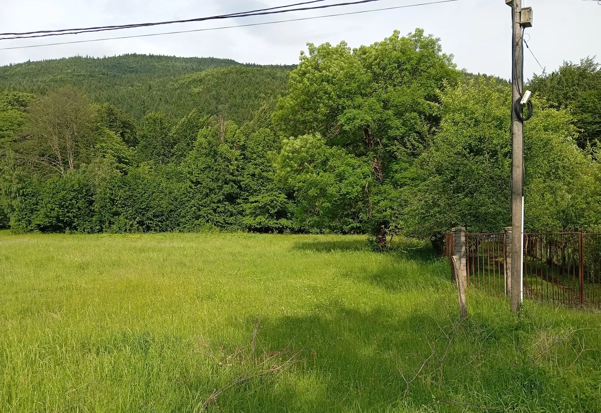 Cheia Maneciu Ungureni