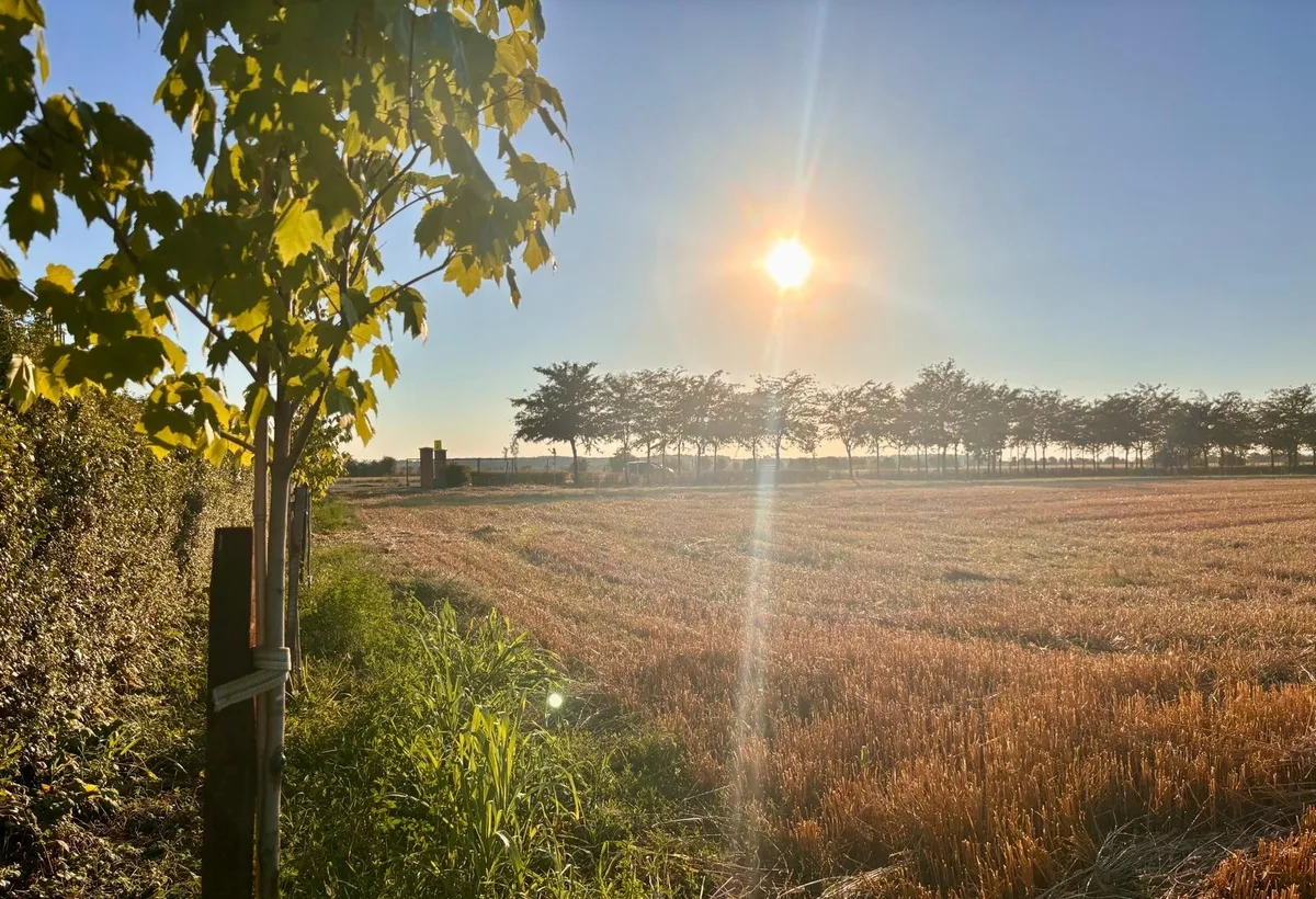 Strada Brebenei 1 Lilieci Ialomita
