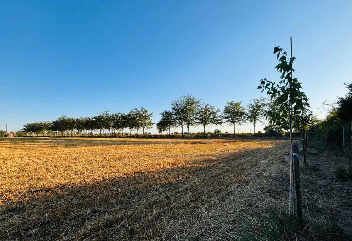 Strada Brebenei 1 Lilieci Ialomita