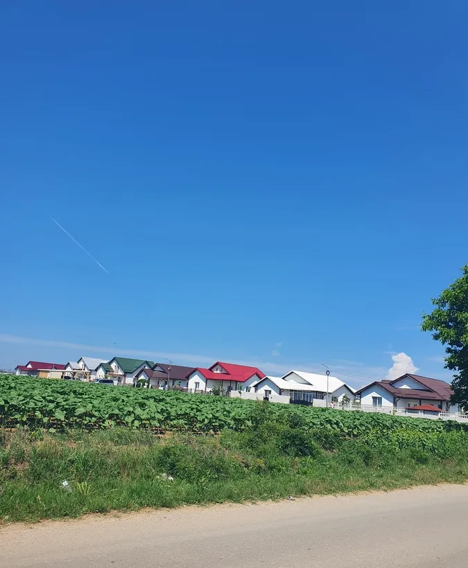 Ciolpani aleea Lacramioara