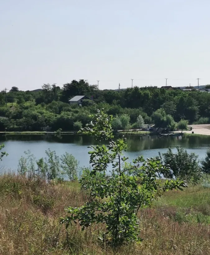 Petrichioaia insula Maineasca