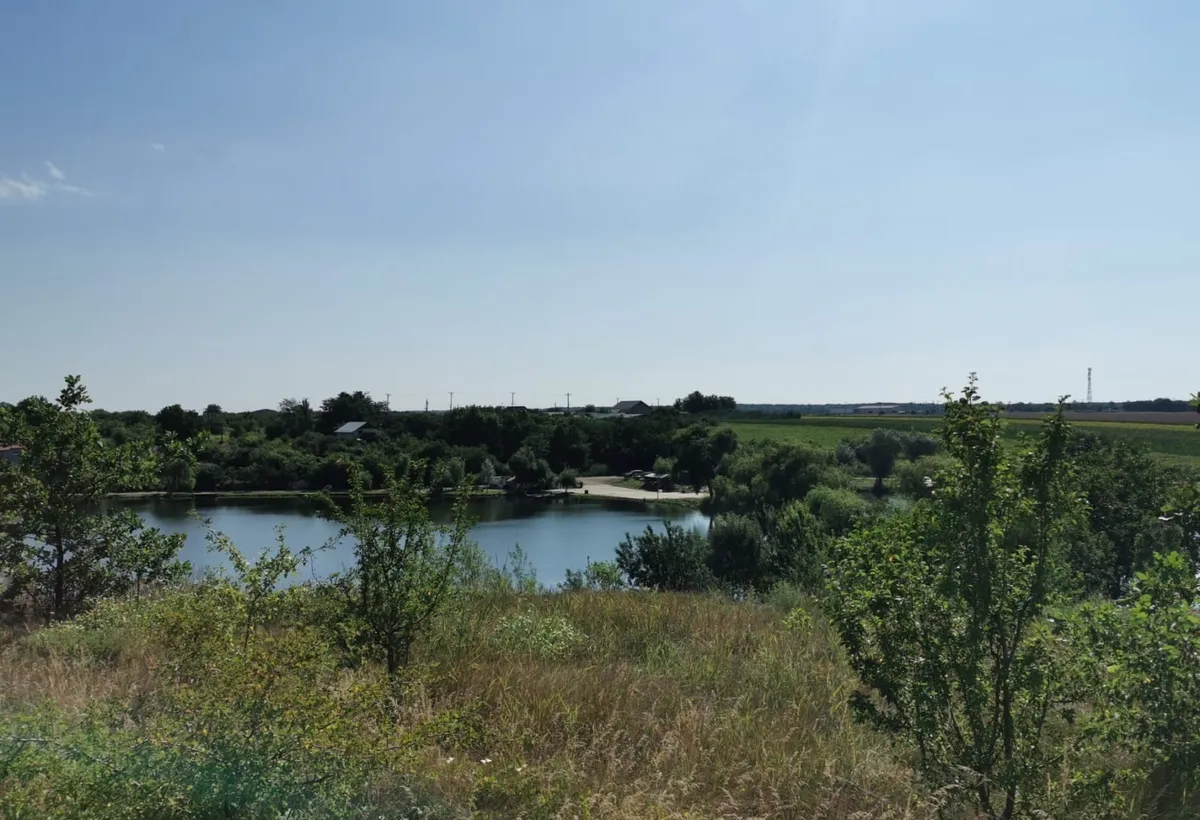 Petrichioaia insula Maineasca