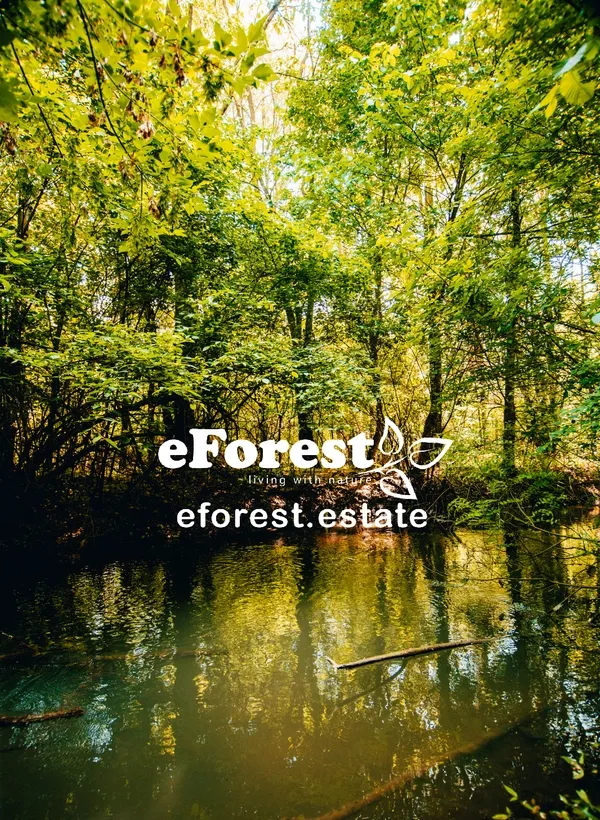 Crevedia teren intravilan cartier nou rezidential eForest