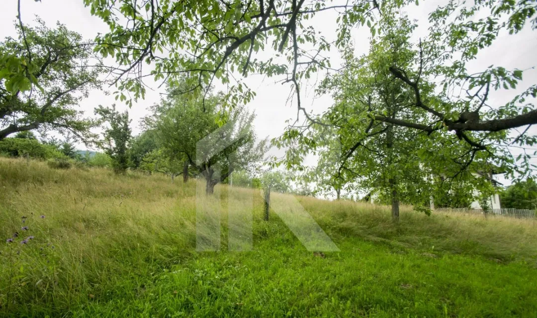 Teren investitie Bran Predelut la 2 km de Castelul Bran