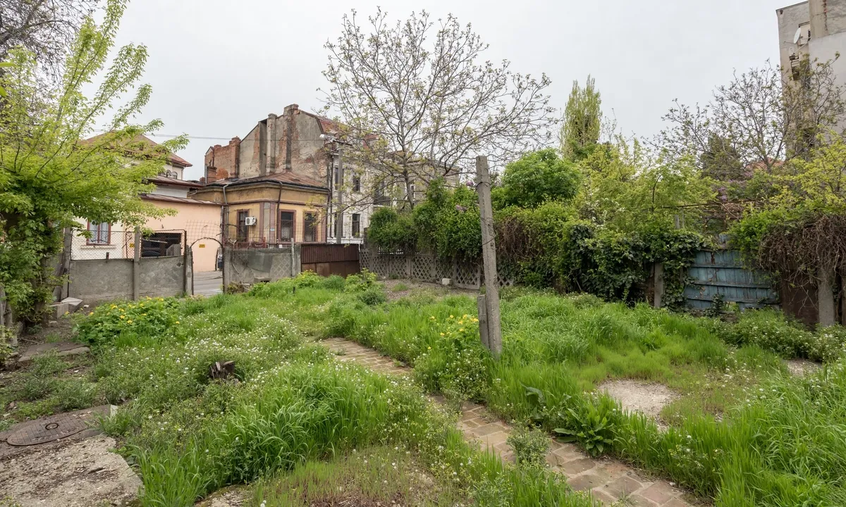 Pache Protopopescu Teren cu autorizatie Plantelor Sf Stefan