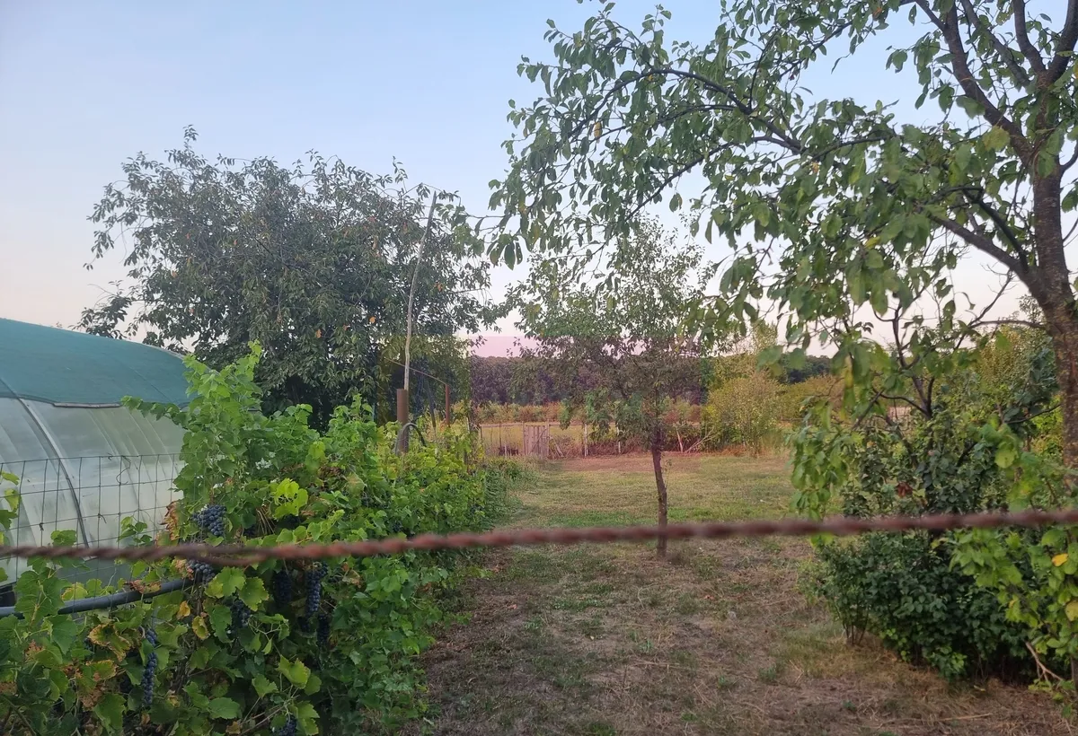 Sadina / gr casa P 1 M 5 cam de vanzare