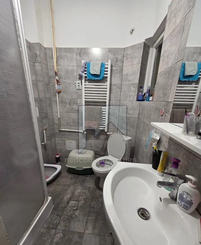 Doamna Ghica vanzare vila P 1