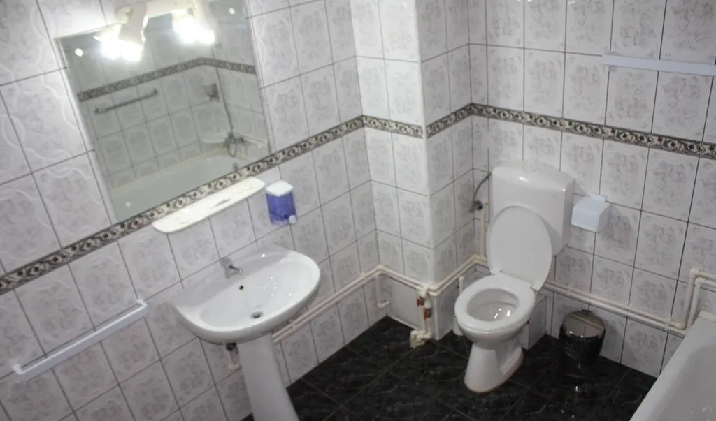 Busteni ideal azil hotel