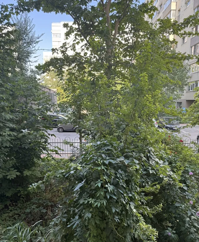 Titan Basarbia Arena Nationala