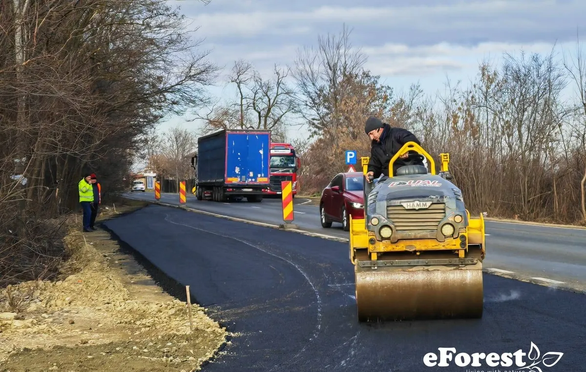 Crevedia teren acces sosea 900 mp in cartier nou zona de padure Crevedia