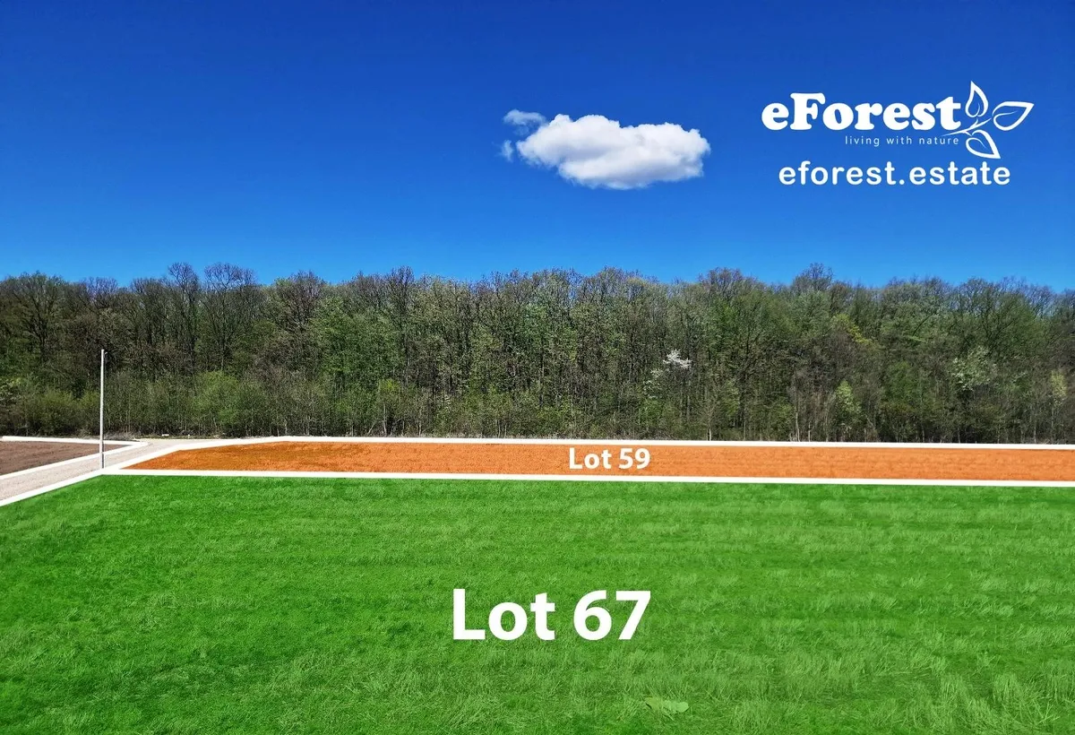 Crevedia teren acces sosea 900 mp in cartier nou zona de padure Crevedia