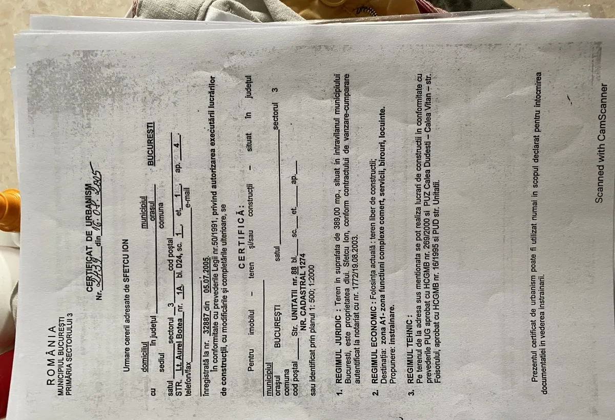 Alba Iulia Burebista