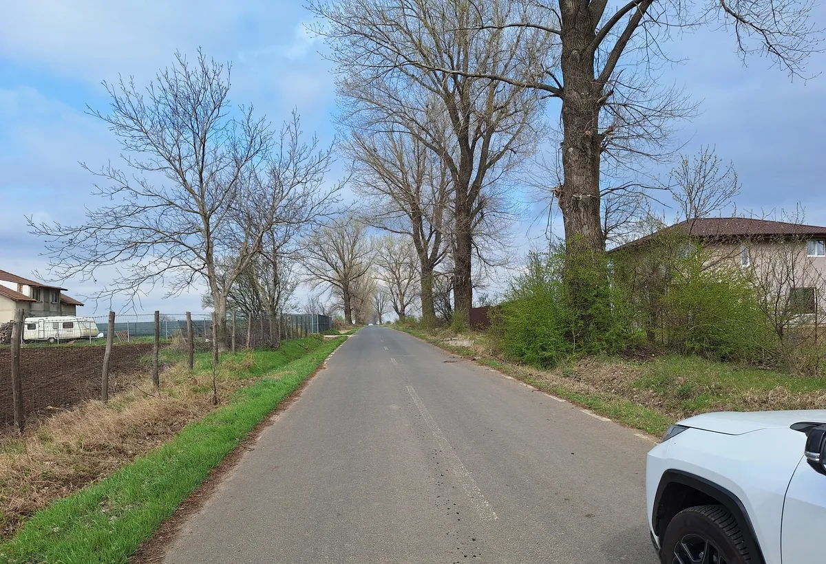 Livedea Ialomita vanzare teren intravilan