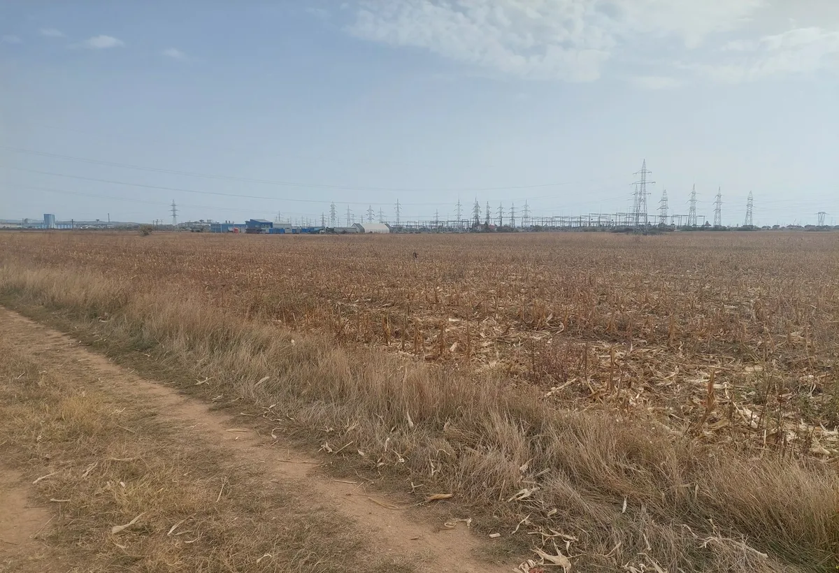 Dumbrava com Ulmi Targoviste