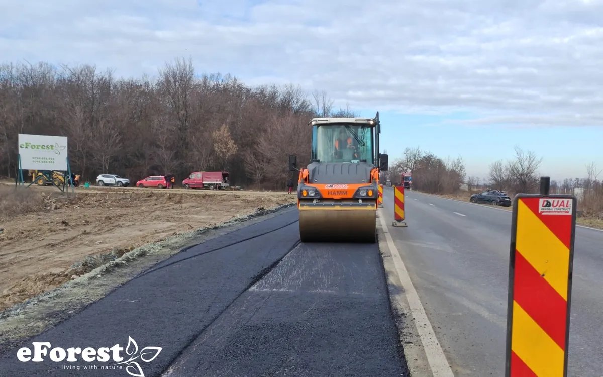 EForest dupa Buftea 760 900 mp intre paduri acces DN1A