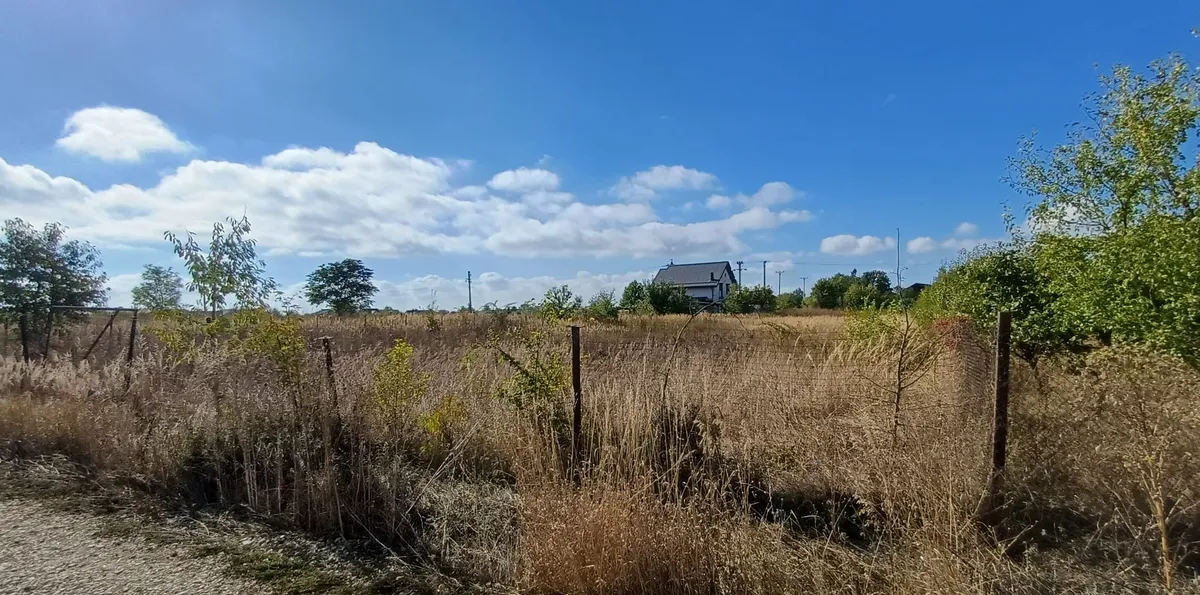 Ciolpani Izvorani apropiere padure si cor