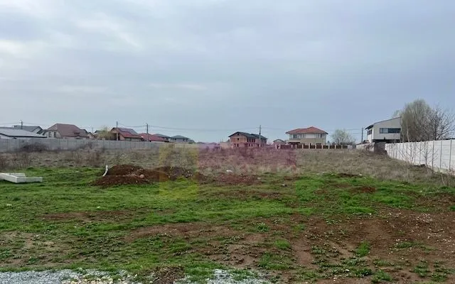 Teren Domnesti Drumul Targului