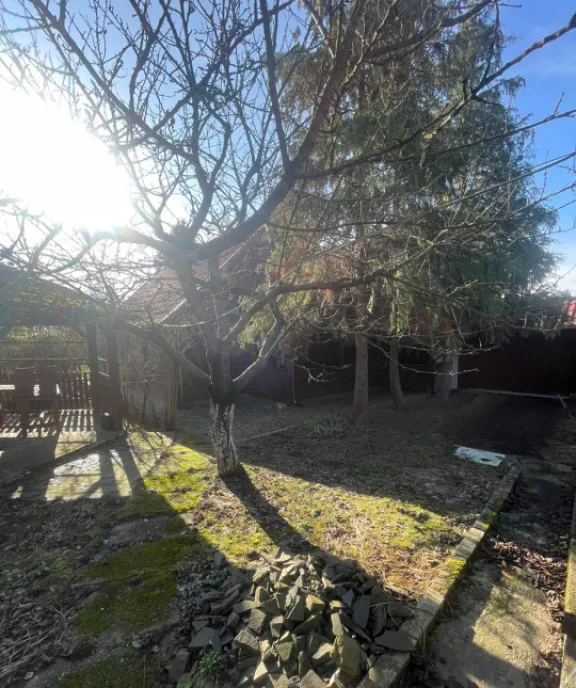 Casa P 1 deosebita 223mp teren 2544mp Cicar