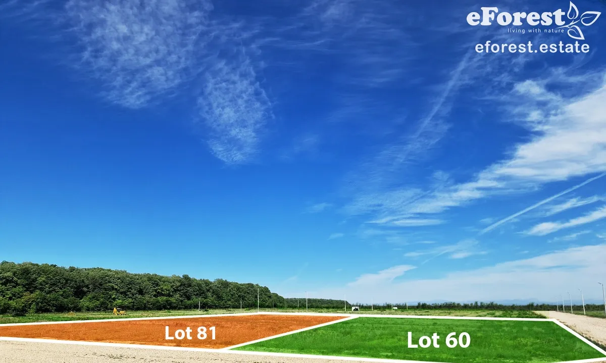 Crevedia teren intravilan ideal pentru casa in cartier premium