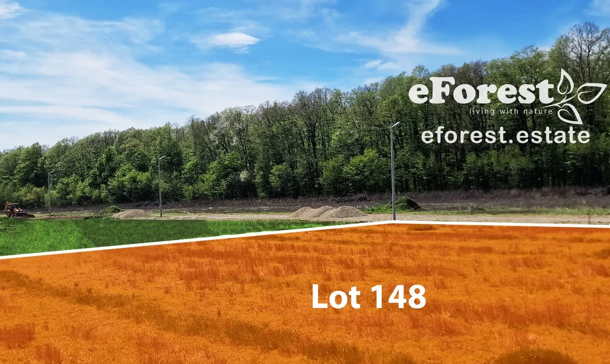 Crevedia eForest 300 loturi de casa la padure direct dn