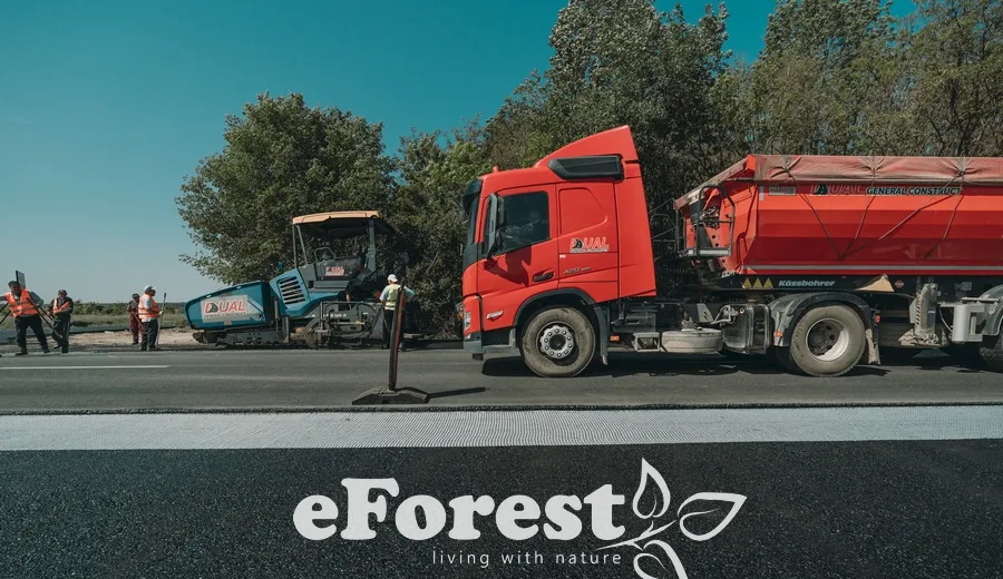 Crevedia eForest 300 loturi de casa la padure direct dn