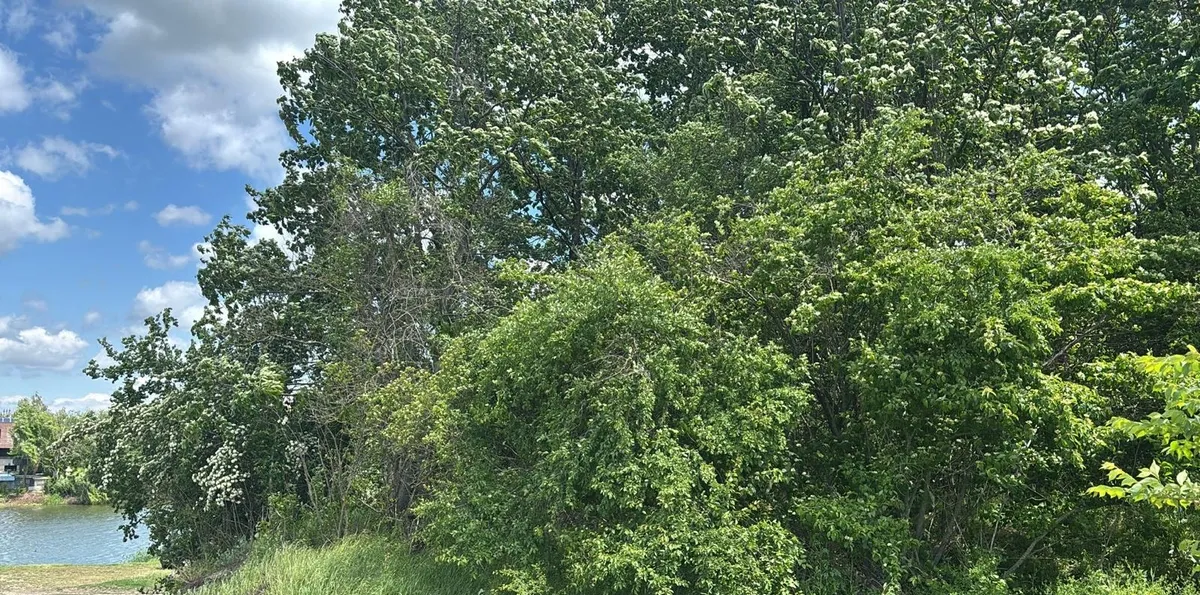Corbeanca Tamasi teren intravilan langa lac si padure