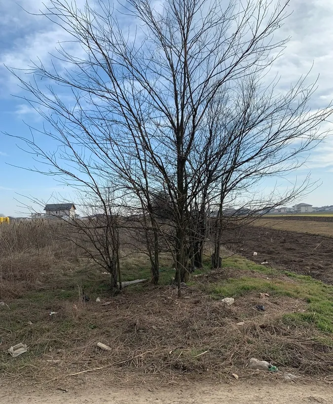 Comuna Berceni teren investitie acces direct bulevardul principal