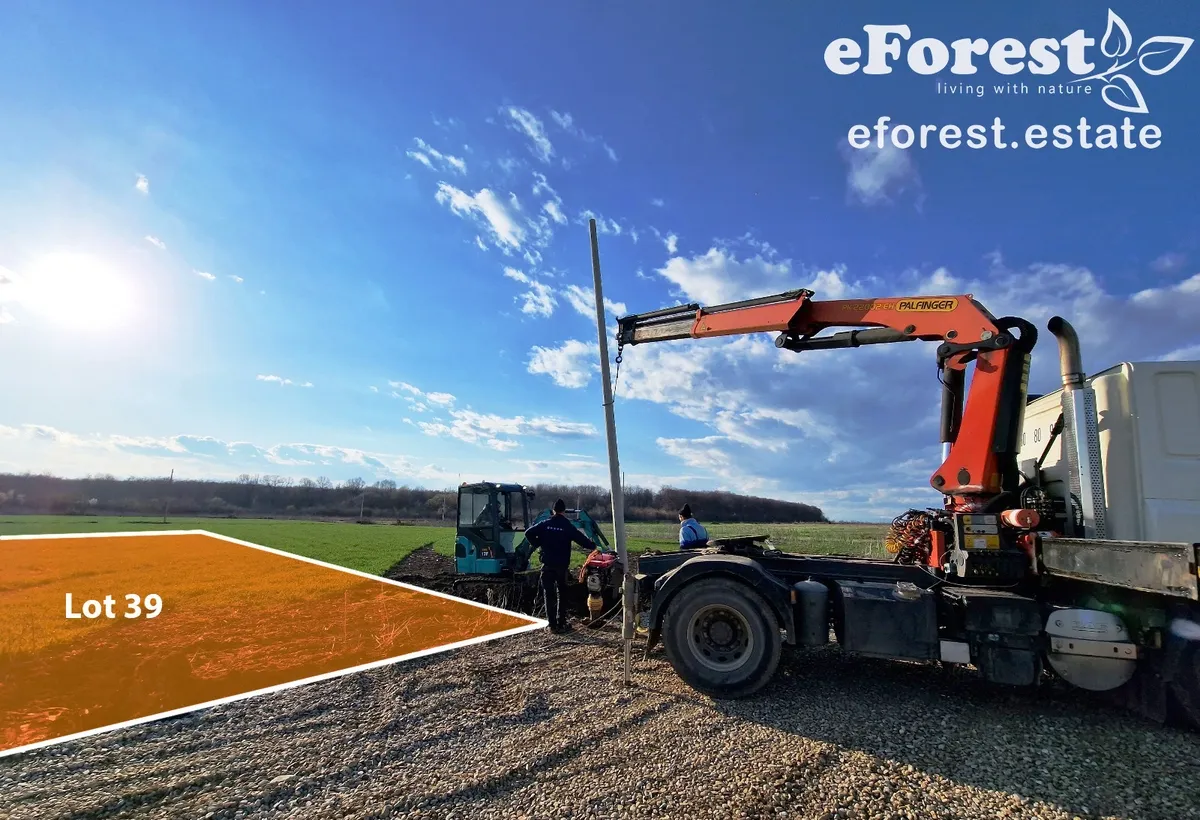 Crevedia teren cu deschidere la padure si acces sosea DN1A in cartier nou