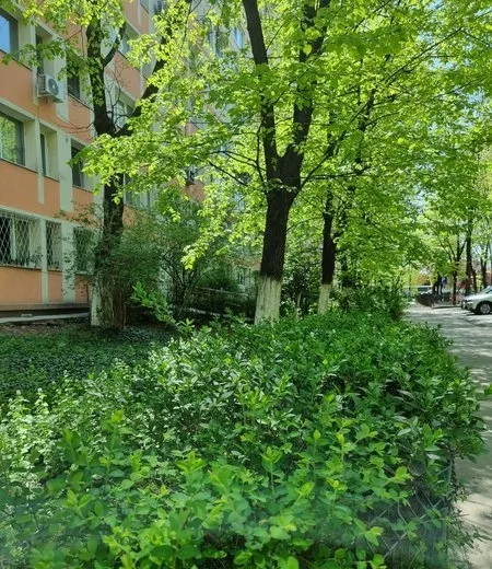 Dristor Baba Novac Titan