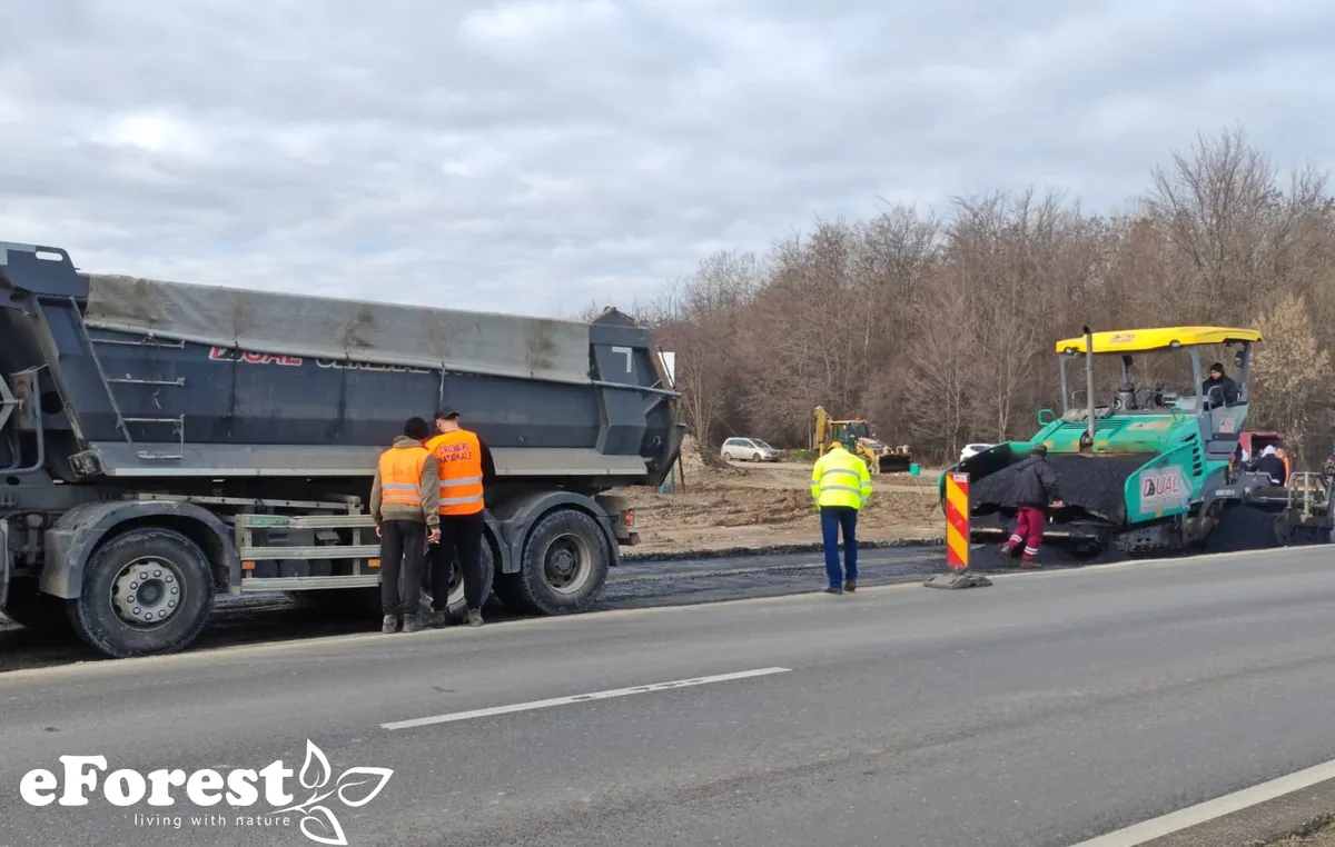 Crevedia Dambovita intravilan teren de casa la padure acces DN1A