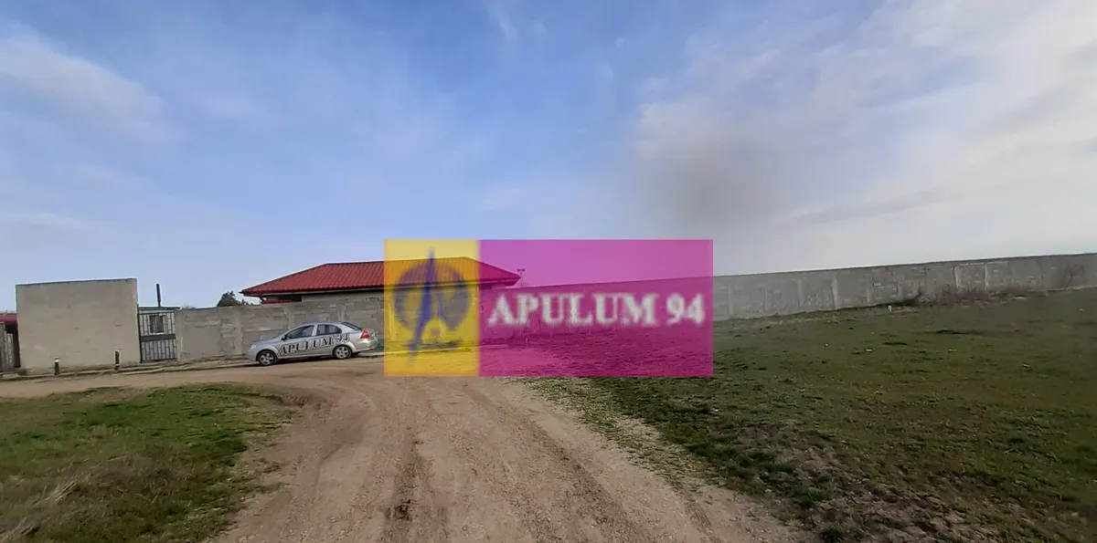 Parcela langa padure in Ilfov