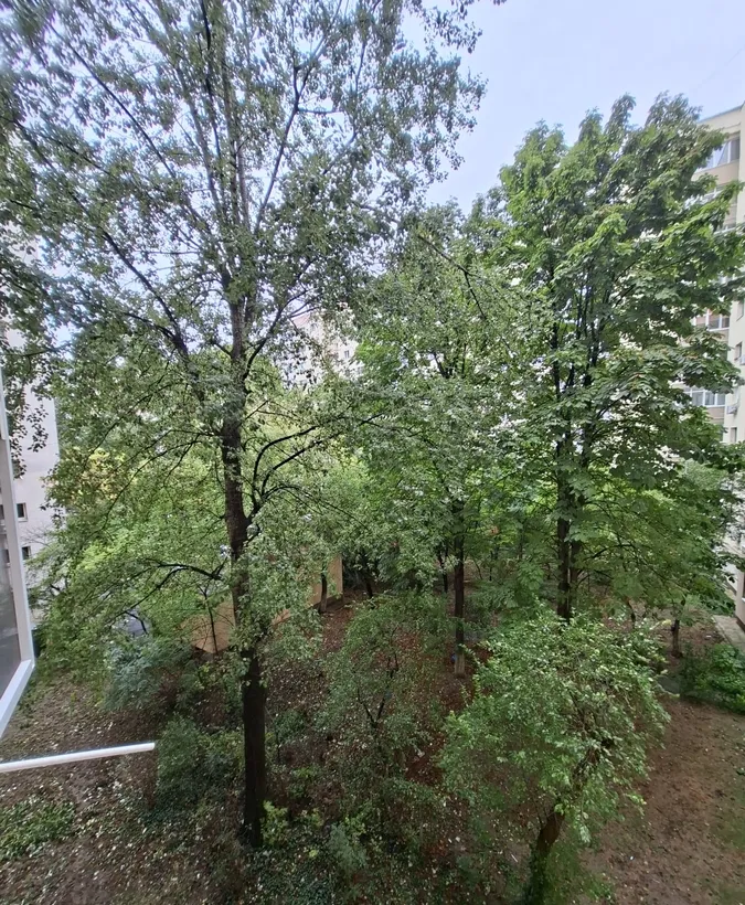 Obor Colentina Teiul Doamnei vav Sectia 7 Politie 15 minute metrou