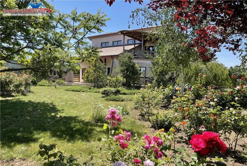 Spatiu de ultracentral Tulcea