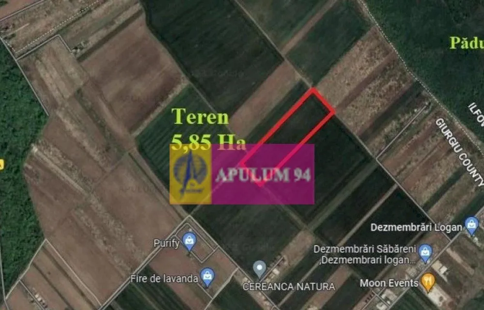 Sabareni teren 5 85 ha intravilan rezidential intre 2 paduri