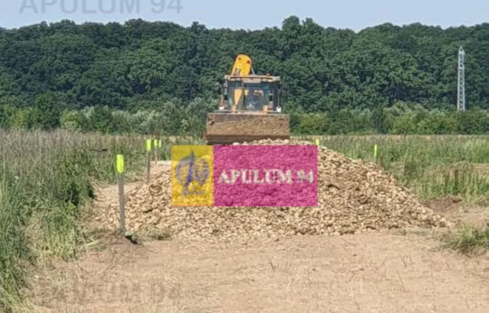 Gulia lot de casa 528 mp cu utilitati in apropiere