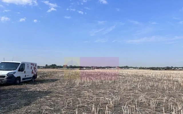 Teren Domnesti strada Ciocarliei